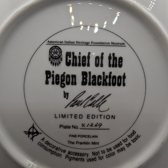 Native American Decorative Plate - Picture 4 of 5